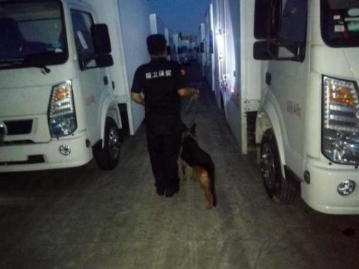 带犬执勤保安服务