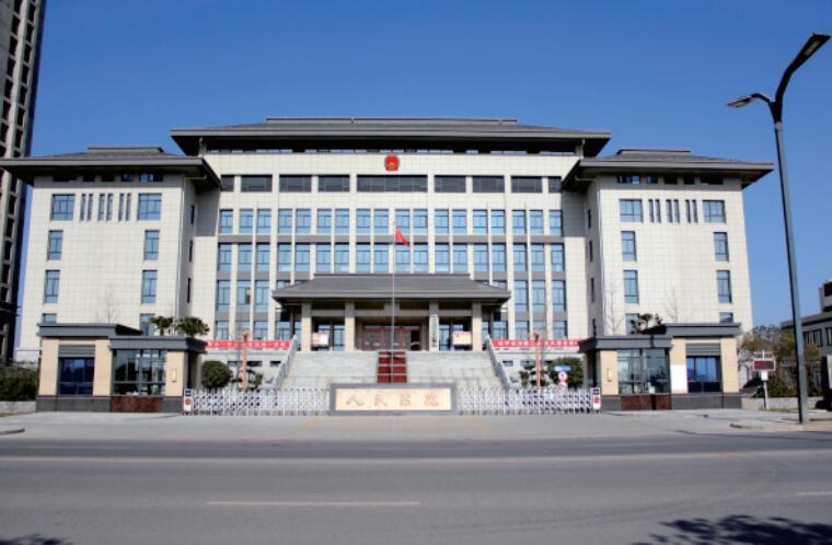政府保安服务